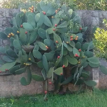 Il Giunco Aparthotel 3*